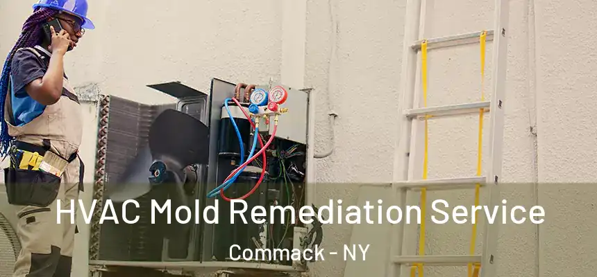  HVAC Mold Remediation Service Commack - NY
