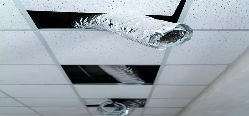 Affordable HVAC Sanitizing After Pest Removal in Commack