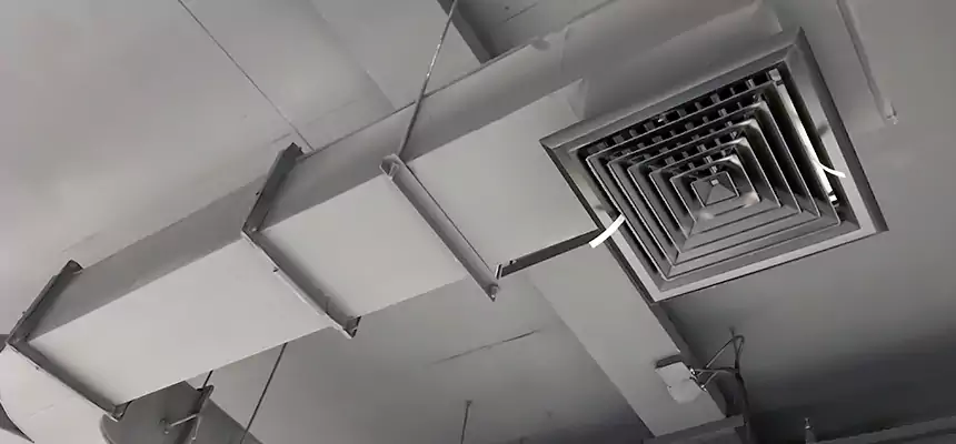 Restorative Allergy Relief Vent Cleaning – Coil, Blower & Housing Detail in Commack