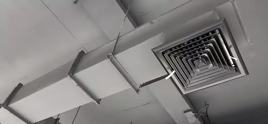 Our Rodent Droppings In Vents Services in Commack, NY