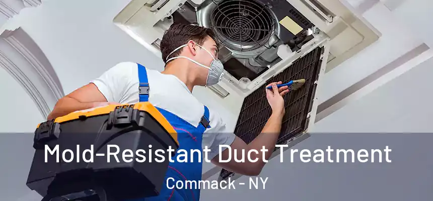  Mold-Resistant Duct Treatment Commack - NY
