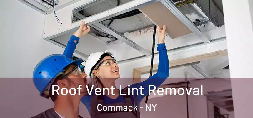  Roof Vent Lint Removal Commack - NY