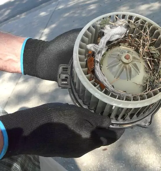 About Air Duct Rat Removal in Commack, NY