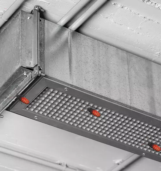 Affordable Insect Removal from Air Ducts in Commack, NY