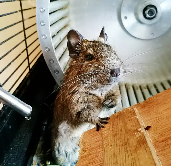 Why Homeowners & Businesses Trust Us Commack, NY