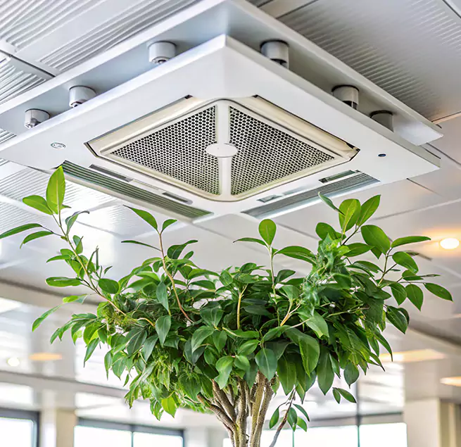 Why Homeowners & Businesses Trust Us in Commack, NY?