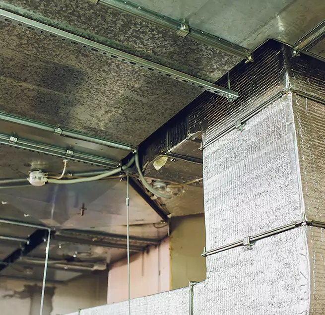 Why Homeowners & Businesses Trust Us in Commack, NY?